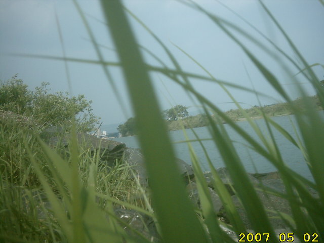 the-green-green-grass-of-nobeoka.jpg